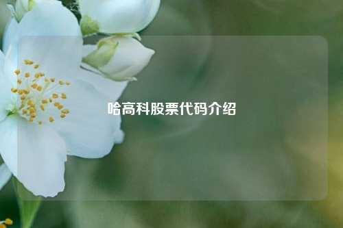 哈高科股票代码介绍