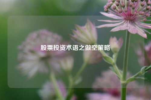 股票投资术语之做空策略