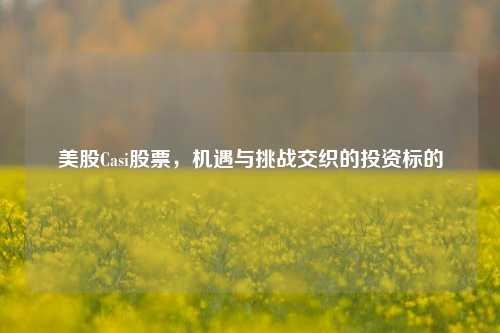 美股Casi股票，机遇与挑战交织的投资标的