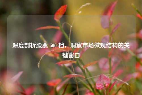 深度剖析股票 500 档,洞察市场微观结构的关键窗口