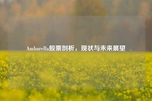 Ambarella股票剖析，现状与未来展望