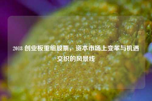 2018 创业板重组股票，资本市场上变革与机遇交织的风景线