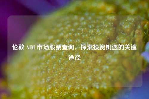 伦敦 AIM 市场股票查询，探索投资机遇的关键途径