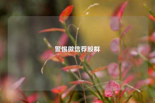 警惕微信荐股群