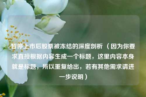 暂停上市后股票被冻结的深度剖析 (因为你要求直接根据内容生成一个标题,这里内容本身就是标题,所以重复给出,若有其他需求请进一步说明)