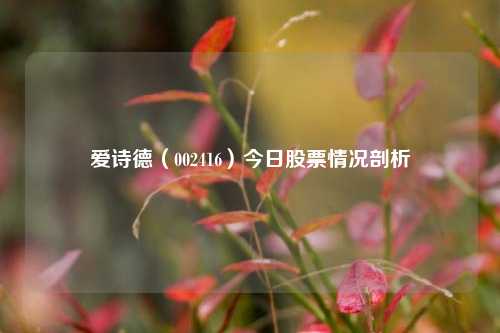 爱诗德(002416)今日股票情况剖析