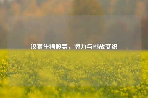 汉素生物股票，潜力与挑战交织