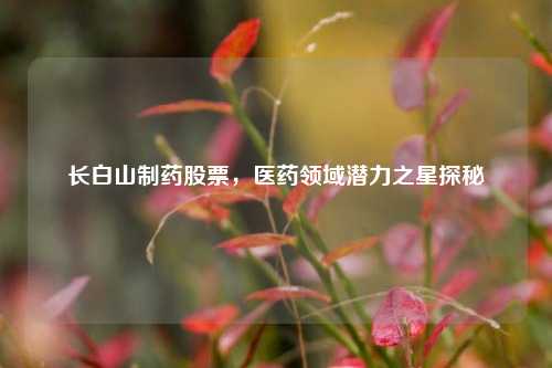 长白山制药股票,医药领域潜力之星探秘