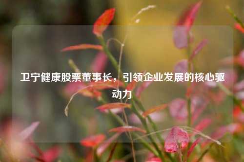 卫宁健康股票董事长，引领企业发展的核心驱动力