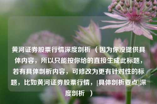 黄河证券股票行情深度剖析 （因为你没提供具体内容，所以只能按你给的直接生成此标题，若有具体剖析内容，可修改为更有针对性的标题，比如黄河证券股票行情，[具体剖析要点]深度剖析  ）