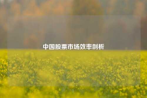 中国股票市场效率剖析