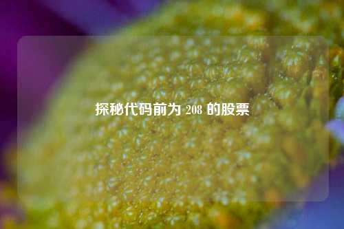 探秘代码前为 208 的股票