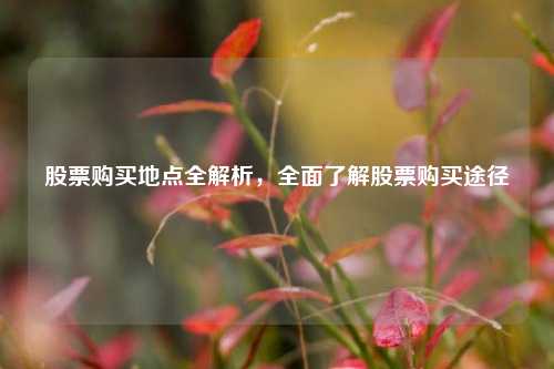 股票购买地点全解析，全面了解股票购买途径