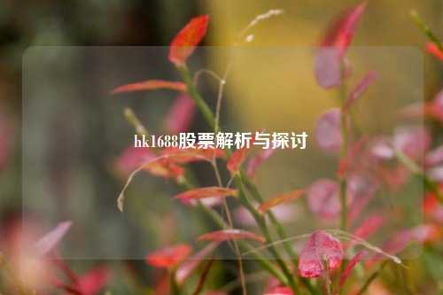 hk1688股票解析与探讨