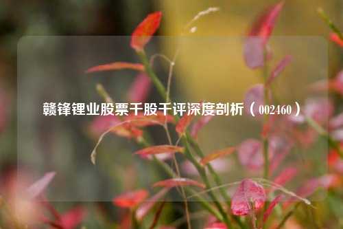 赣锋锂业股票千股千评深度剖析（002460）