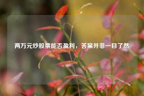 两万元炒股票能否盈利，答案并非一目了然