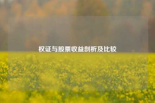 权证与股票收益剖析及比较