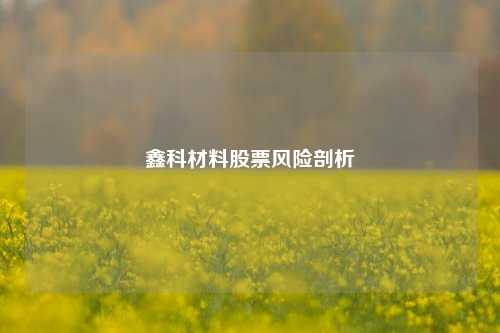 鑫科材料股票风险剖析
