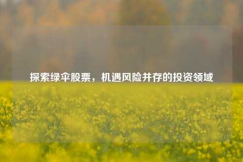 探索绿伞股票，机遇风险并存的投资领域
