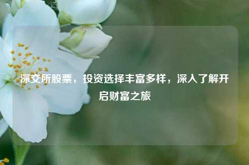 深交所股票，投资选择丰富多样，深入了解开启财富之旅