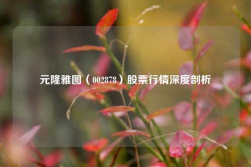 元隆雅图（002878）股票行情深度剖析