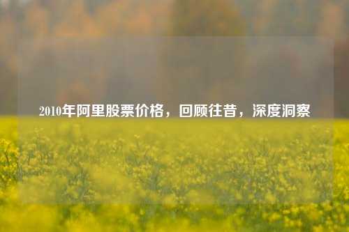 2010年阿里股票价格,回顾往昔,深度洞察