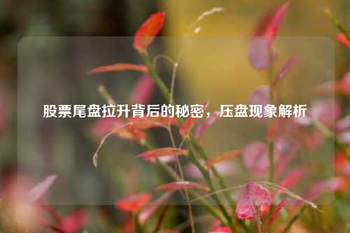 股票尾盘拉升背后的秘密，压盘现象解析