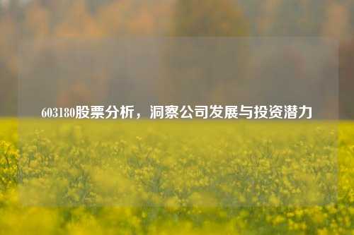 603180股票分析，洞察公司发展与投资潜力