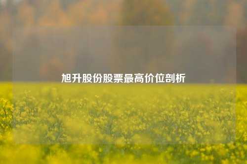 旭升股份股票最高价位剖析