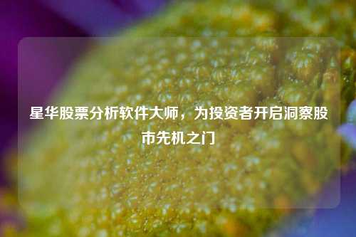 星华股票分析软件大师，为投资者开启洞察股市先机之门