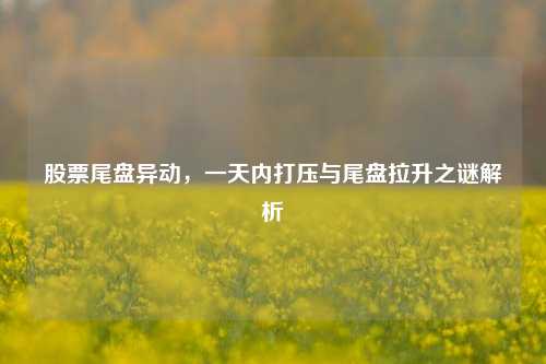 股票尾盘异动,一天内打压与尾盘拉升之谜解析