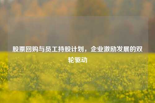 股票回购与员工持股计划,企业激励发展的双轮驱动