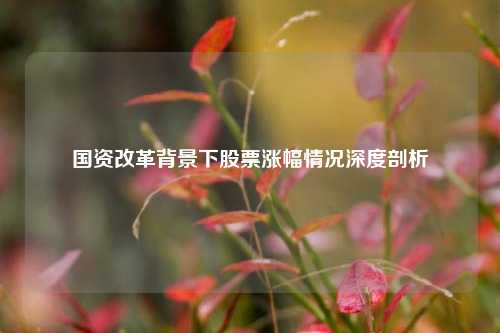 国资改革背景下股票涨幅情况深度剖析