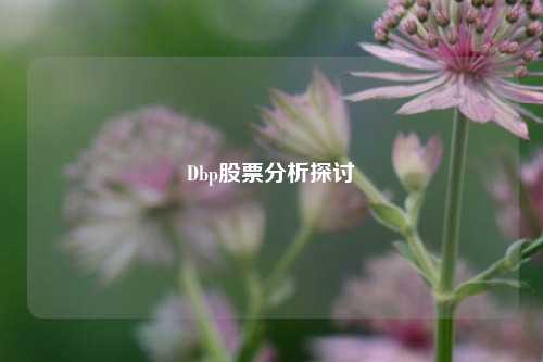 Dbp股票分析探讨