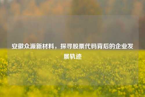 安徽众源新材料，探寻股票代码背后的企业发展轨迹