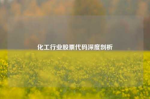 化工行业股票代码深度剖析
