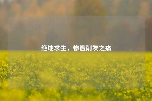 绝地求生,惨遭削发之痛