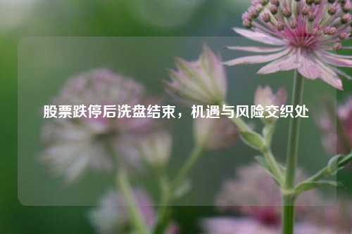 股票跌停后洗盘结束，机遇与风险交织处