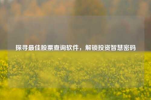 探寻最佳股票查询软件，解锁投资智慧密码