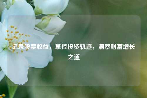 记录股票收益，掌控投资轨迹，洞察财富增长之道