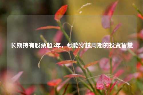 长期持有股票超5年，领略穿越周期的投资智慧