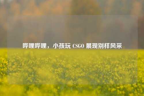 哔哩哔哩，小孩玩 CSGO 展现别样风采