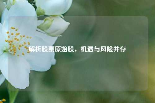 解析股票原始股，机遇与风险并存