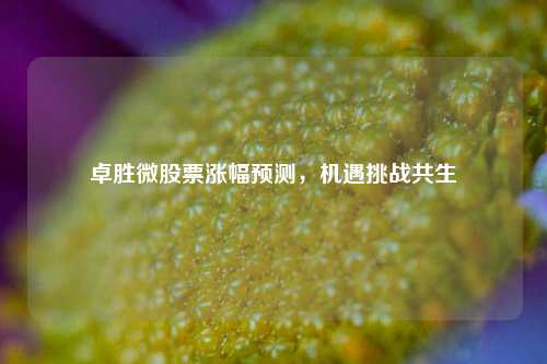 卓胜微股票涨幅预测，机遇挑战共生