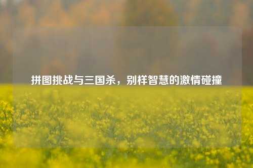 拼图挑战与三国杀，别样智慧的激情碰撞