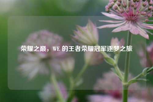 荣耀之巅，WE 的王者荣耀冠军逐梦之旅