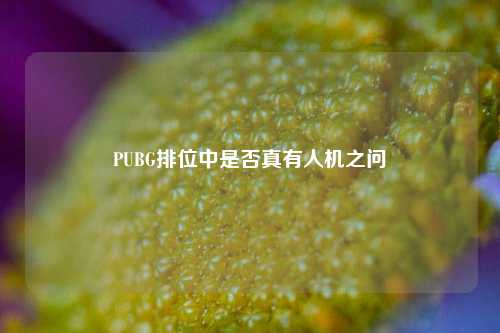 PUBG排位中是否真有人机之问