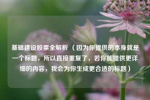 基础建设股票全解析 (因为你提供的本身就是一个标题,所以直接重复了,若你能提供更详细的内容,我会为你生成更合适的标题)