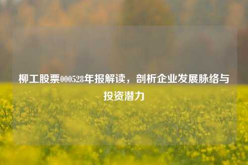 柳工股票000528年报解读，剖析企业发展脉络与投资潜力