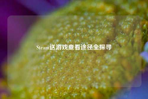 Steam送游戏查看途径全探寻